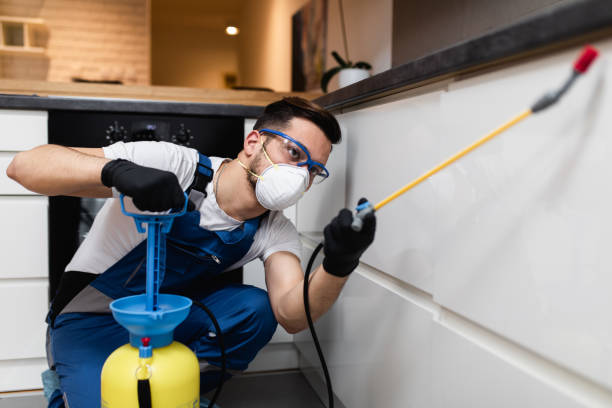Best Pest Control for Restaurants  in Sullivan Gardens, TN
