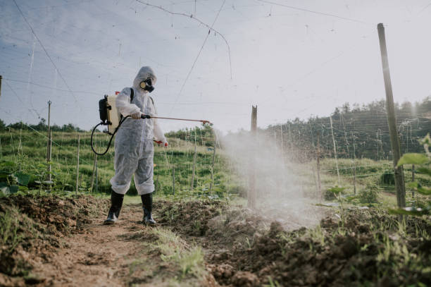Best Ant Control Services  in Sullivan Gardens, TN