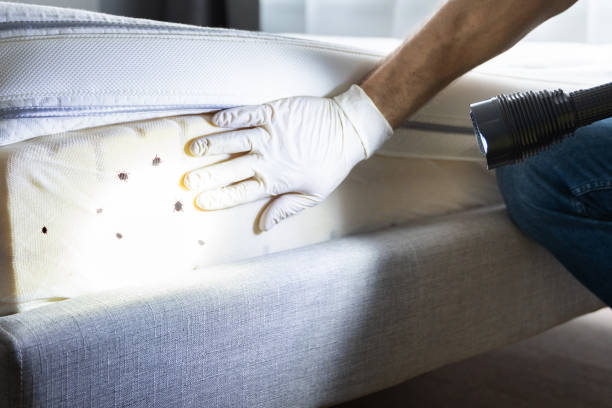 Pest Control for Restaurants in Sullivan Gardens, TN